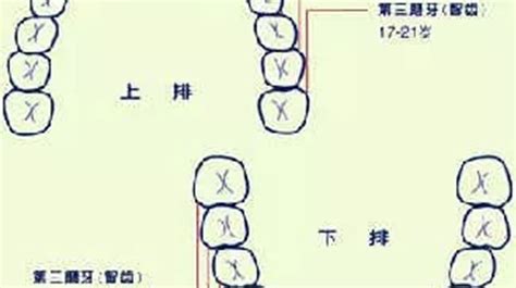 牙齒尖面相|面相大全——牙齒